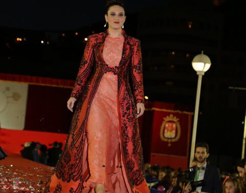 Hoguera Altozano Sur. Candidata 2017